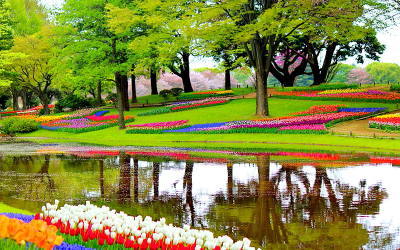 Best Europe Tour Packages in May and August – Travel and Holiday Tips